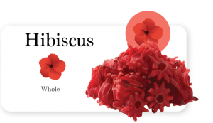 Hibiscus