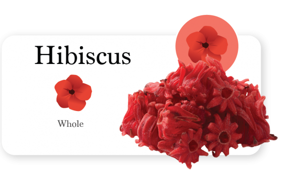 Hibiscus